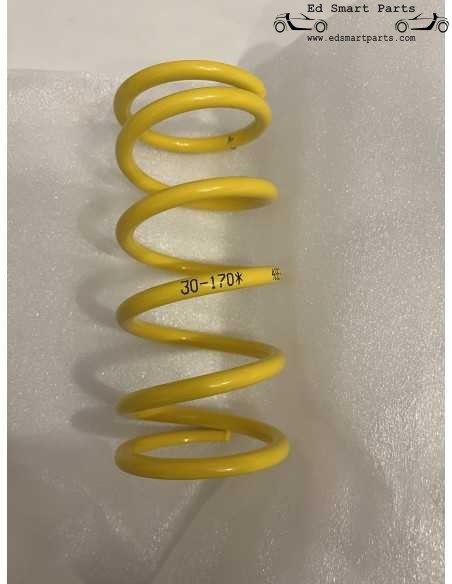 KW Variant 2 Voor Hoofd Hoge prestatie motor sport veer