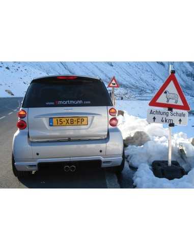 Escape deportivo S-Mann S-FLOW bicilíndrico central para smart ForTwo 451