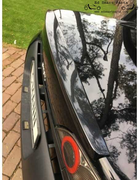 S-Mann achterspoiler voor Smart Roadster 452