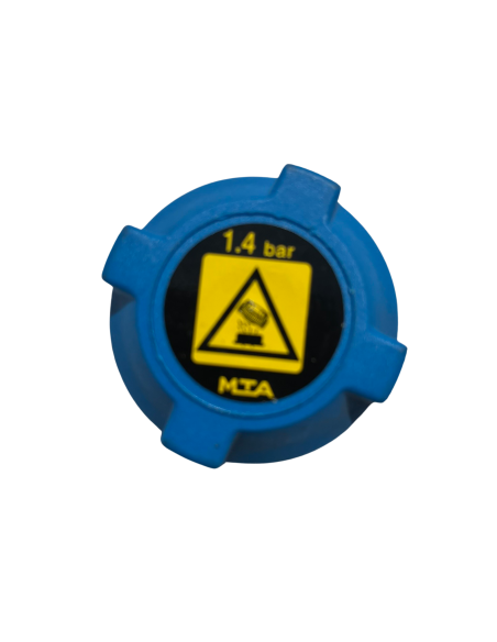 Radiator Cap Smart ForFour 454