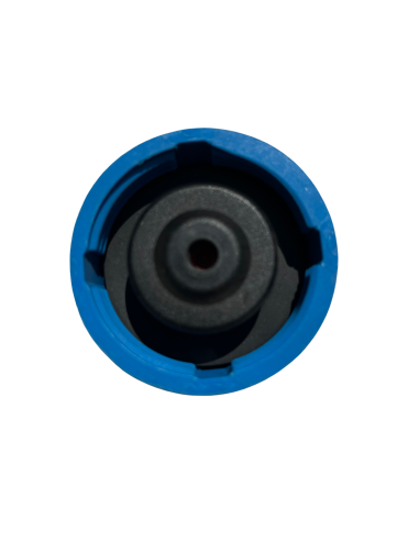 Radiatordop Smart ForFour 454