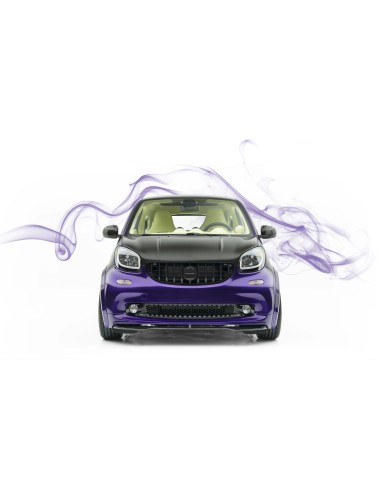 Mansory Front Grill Smart ForTwo / ForFour 453