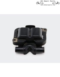 Bobine voor elke Smart Roadster / Fortwo 450 motor