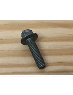 Duotaptite screw m6x23 Q0007201V000000000 2