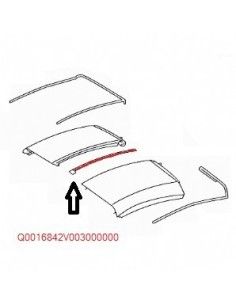 Borracha central do teto rígido Smart Roadster