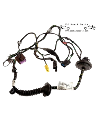 Door Harness with electric mirror function Smart Roadster (Coupe) 0009834V002