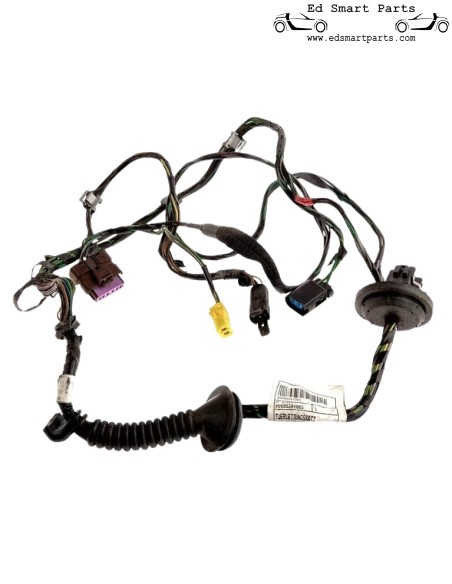 Chicote de porta com função de espelho elétrico Smart Roadster (Coupé) 0009834V002