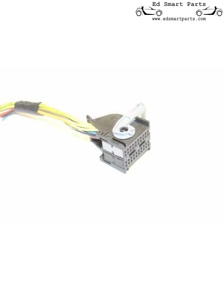 Connecteur d'unité SAM N11-8 / N11-9 avec câblage pour Smart Roadster 452/Fortwo 450