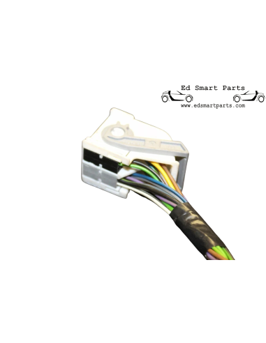 N11-8 / N11-9 SAM unit connector with wiring smart roadster 452/fortwo 450