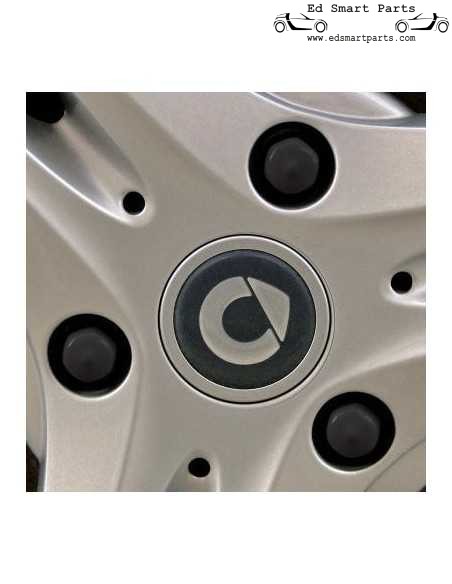 Lot de 12 cache-boulons de roue noirs intelligents