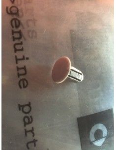 Smart Roadster 452 cover B pillar cowling fixing clip