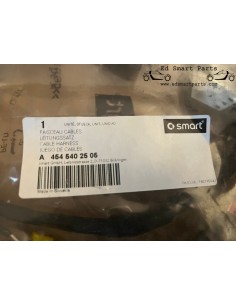 A4545402505 Cabo da porta dianteira esquerda Smart ForFour 2