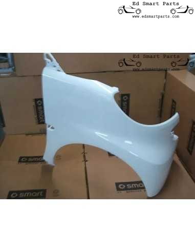 Smart ForTwo 451 2007-2013 Spatbord Voorzijde gespoten Links of Rechts