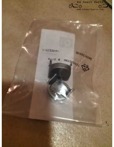 Jeu de 2 cache-vis de charnière d'origine pour le hayon vitré du coupé Smart Roadster.