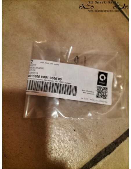 Jeu de 2 cache-vis de charnière d'origine pour le hayon vitré du coupé Smart Roadster.