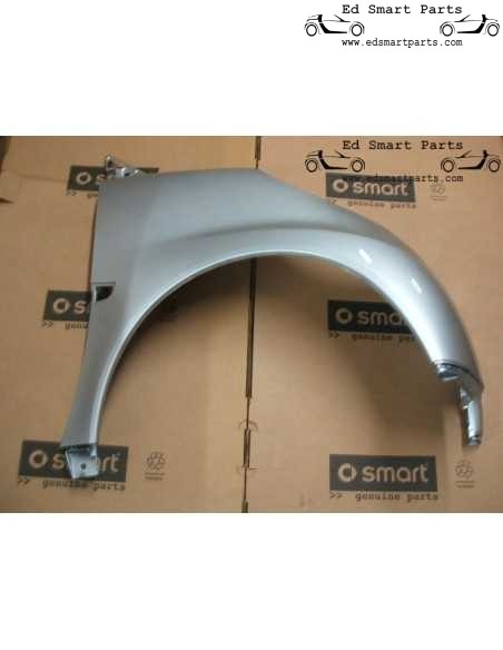 Smart ForTwo 451 2007-2013 Fender Wing Front painted Left or Right
