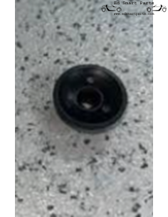 Ojal para tapa de compartimento de equipaje, gancho original Smart 453