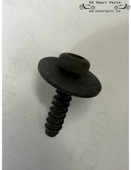 Parafuso de carroceria x10 - compatível com grampo de fixação