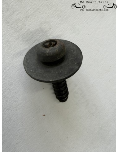 Parafuso de carroceria x10 - compatível com grampo de fixação