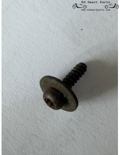 Parafuso de carroceria x10 - compatível com grampo de fixação