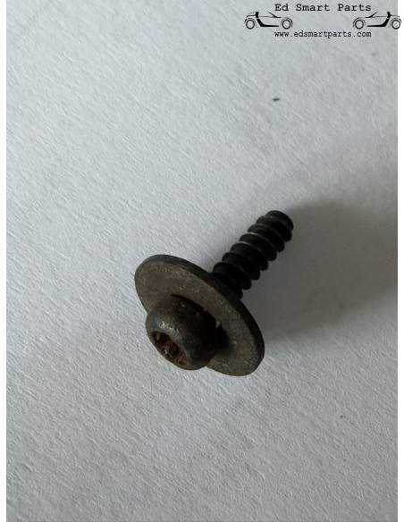 Parafuso de carroceria x10 - compatível com grampo de fixação