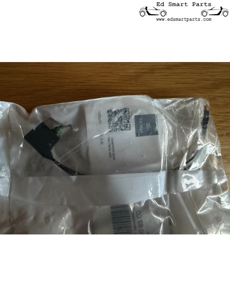 Bouton tactile gauche d'origine Mercedes-Benz A4538206100 (bouton TS gauche) – OEM Smart 453
