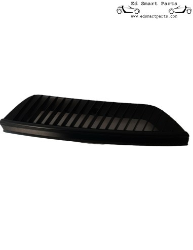 Neuer Frontgrill, Original Smart ForTwo 450, Schwarz, links oder rechts