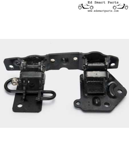 Cerniera porta Smart Roadster lato sinistro