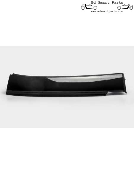 Smart Roadster Roof Bar Right side