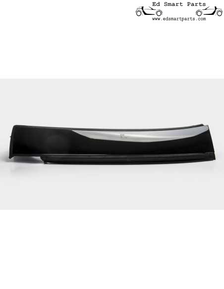 Smart Roadster Dachträger links