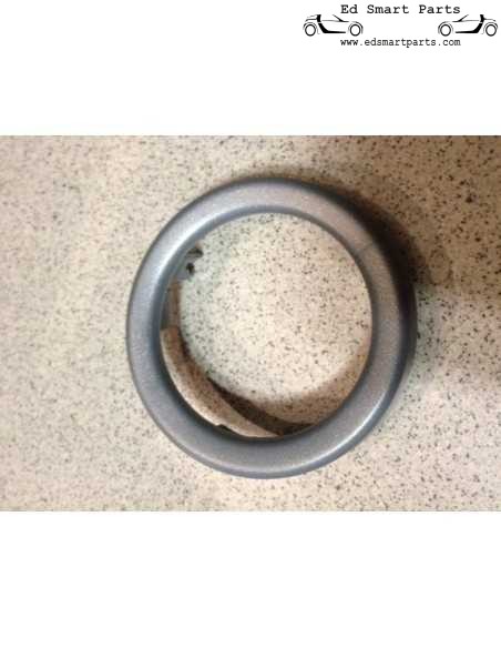 Anelli di finitura per cruscotto Smart Roadster (coppia) grigio argento