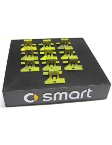 Smart Roadster Speedfix Clips set x 10