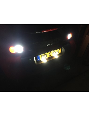 Dual LED turnsignal reverse light