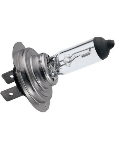 Grundig H7  Headlight Bulb  12v 55W