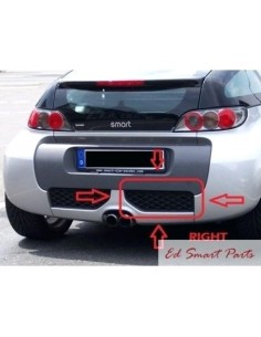 Sezione della griglia posteriore Smart Roadster Brabus che copre lo scarico sinistro o destro