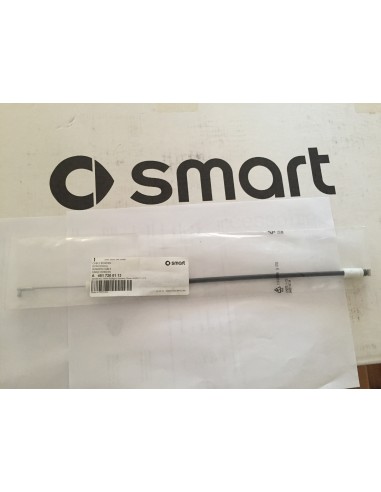 Neue Smart fortwo 451 Bogentürgriff Kabel innen oder außen