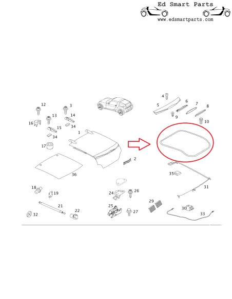 Smart Roadster Coupe Seal for Rear End Door