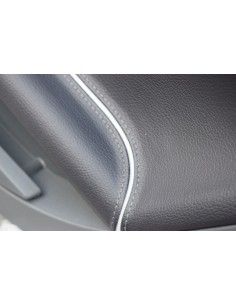 Panel de puerta derecho o izquierdo del Smart Roadster Brabus Xclusive 2