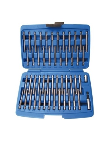Long Bit Set for Security Screws, Silver/Blue