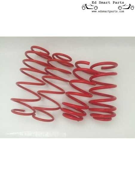 Smart Roadster Verlagingsveren complete set