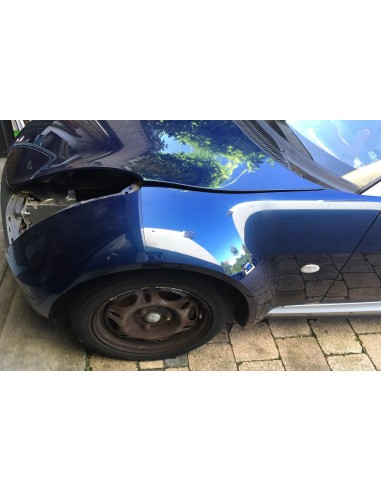 Smart Roadster wing used several colors available