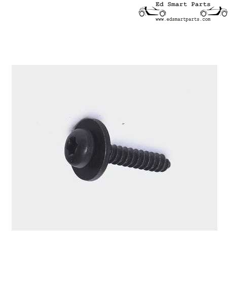 Vite originale Smart Fortwo 450 sottoscocca