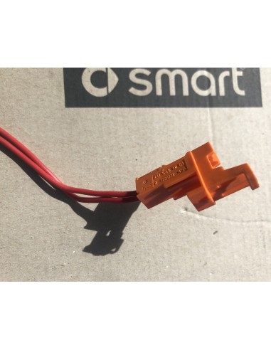 SAM Fuse Holder Orange "permanent live"