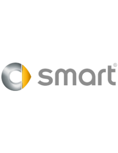Smart roadster 452 Moldeo de la cubierta ornamental del espacio de radio 2