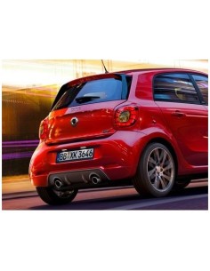 Smart fortwo / forfour 453...