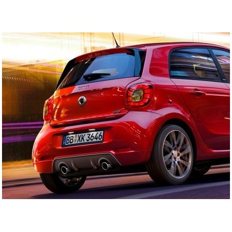 Smart Fortwo / Forfour 453 Rear Apron painted in color