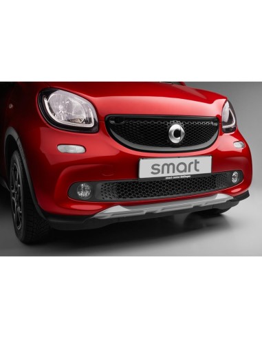 OEM Genuine Smart forfour(453) BRABUS CROSSTOWN OPTICAL UNDERRIDE PROTECTION GUARD, SILVER FRONT