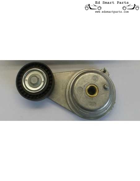 Echte Smart V-RIBBED RIEMSPANNERPOELIE VOOR FORTWO BENZINE 451