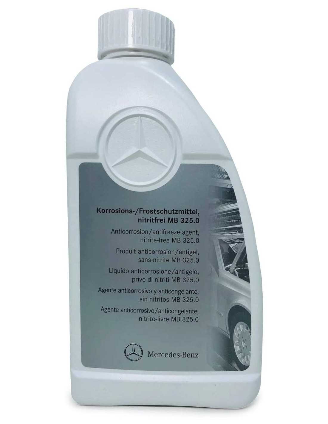 Trasporto Cani In Auto: Consigli Pratici E Obblighi Di Legge