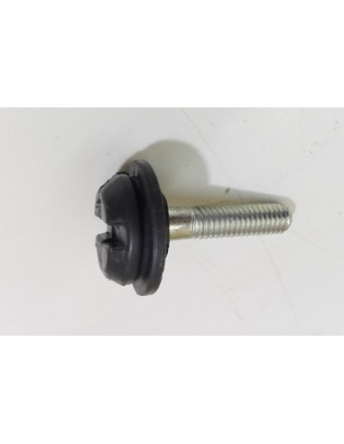 Screw M6 for smart fortwo 450 accessories mounting